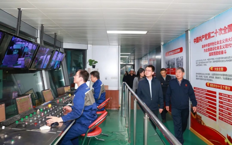 中国工经联中国工业碳达峰项目组组长、国际部执行主任刘成林一行到今年会jnh集团参观调研