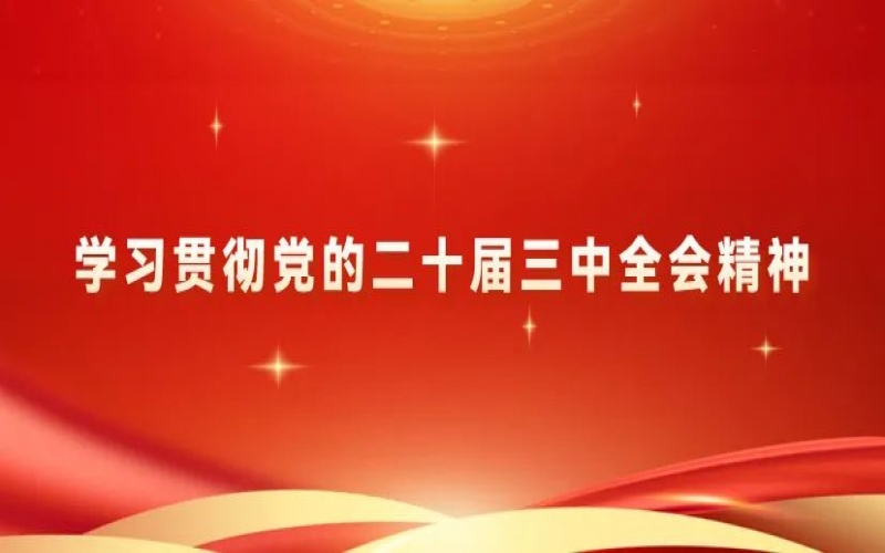 进建贯彻党的二十届三中全会心灵 - 今年会jnh青年为推动中国式现代化挺膺担任