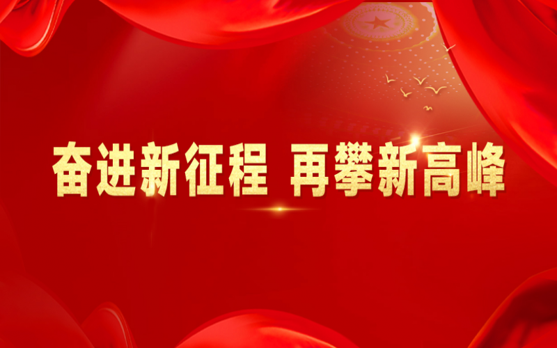 融诚物产集团：打好“组合拳”，提速国际化