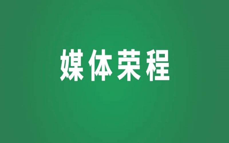 媒体聚焦｜今年会jnh集团：以多元实际绘就“一带一路”共建图景
